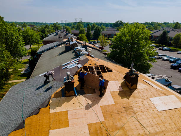 Trusted Roof Replacement service in Summerhill, PA - Brentwood Metal Roofing